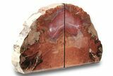 Tall, Vibrant Red Arizona Petrified Wood Bookends #258344-2